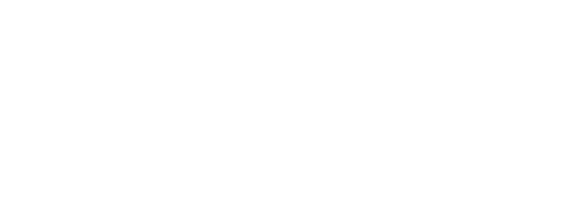 Vigor Sports Nutrition